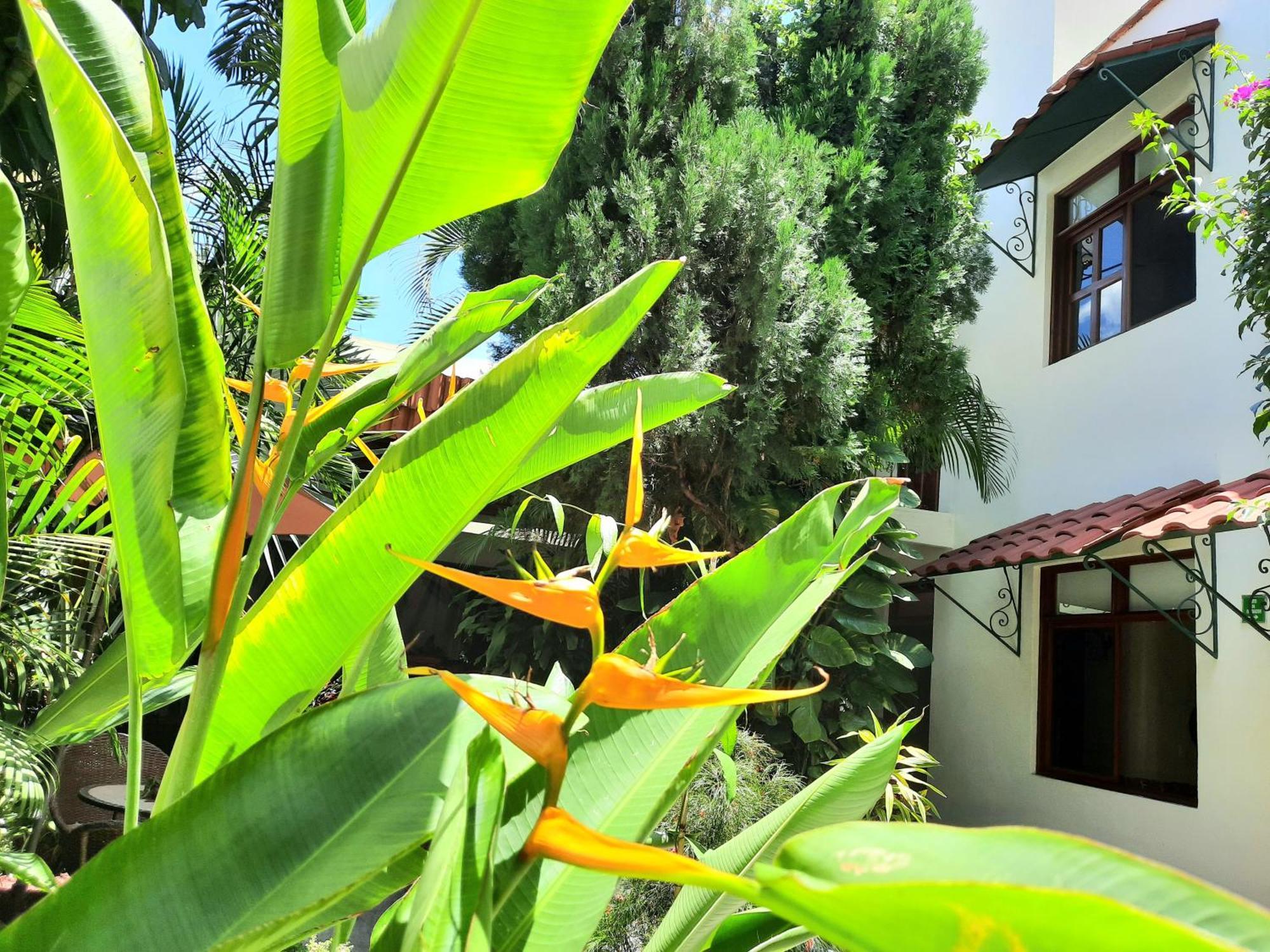 Casa Los Cantaros Hotel Boutique Oaxaca Экстерьер фото