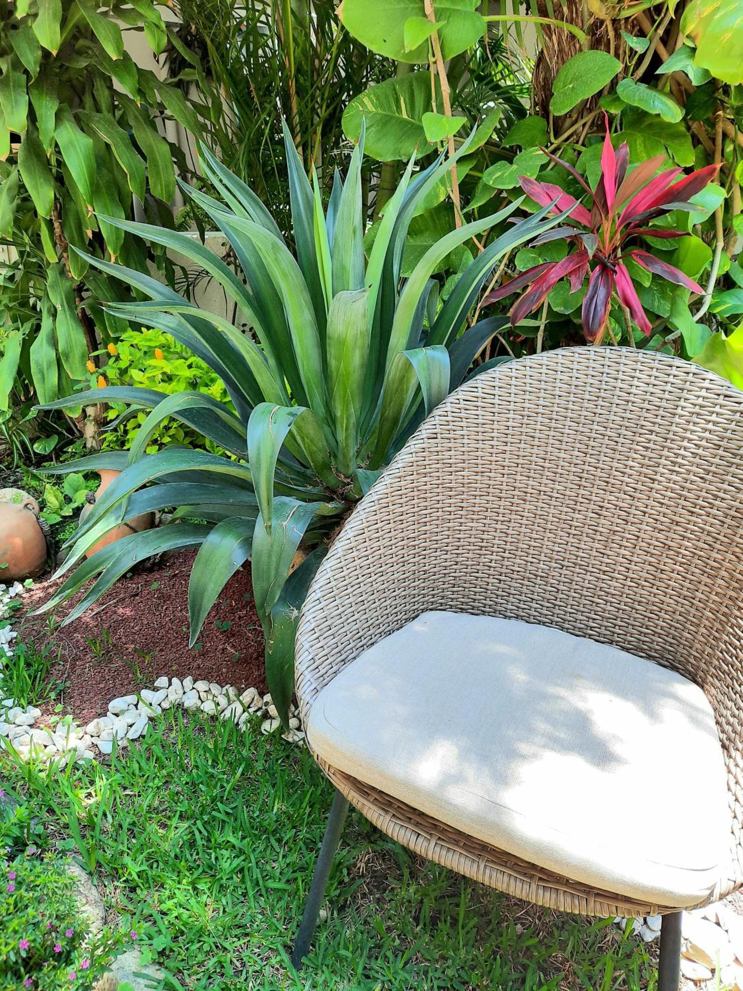 Casa Los Cantaros Hotel Boutique Oaxaca Экстерьер фото